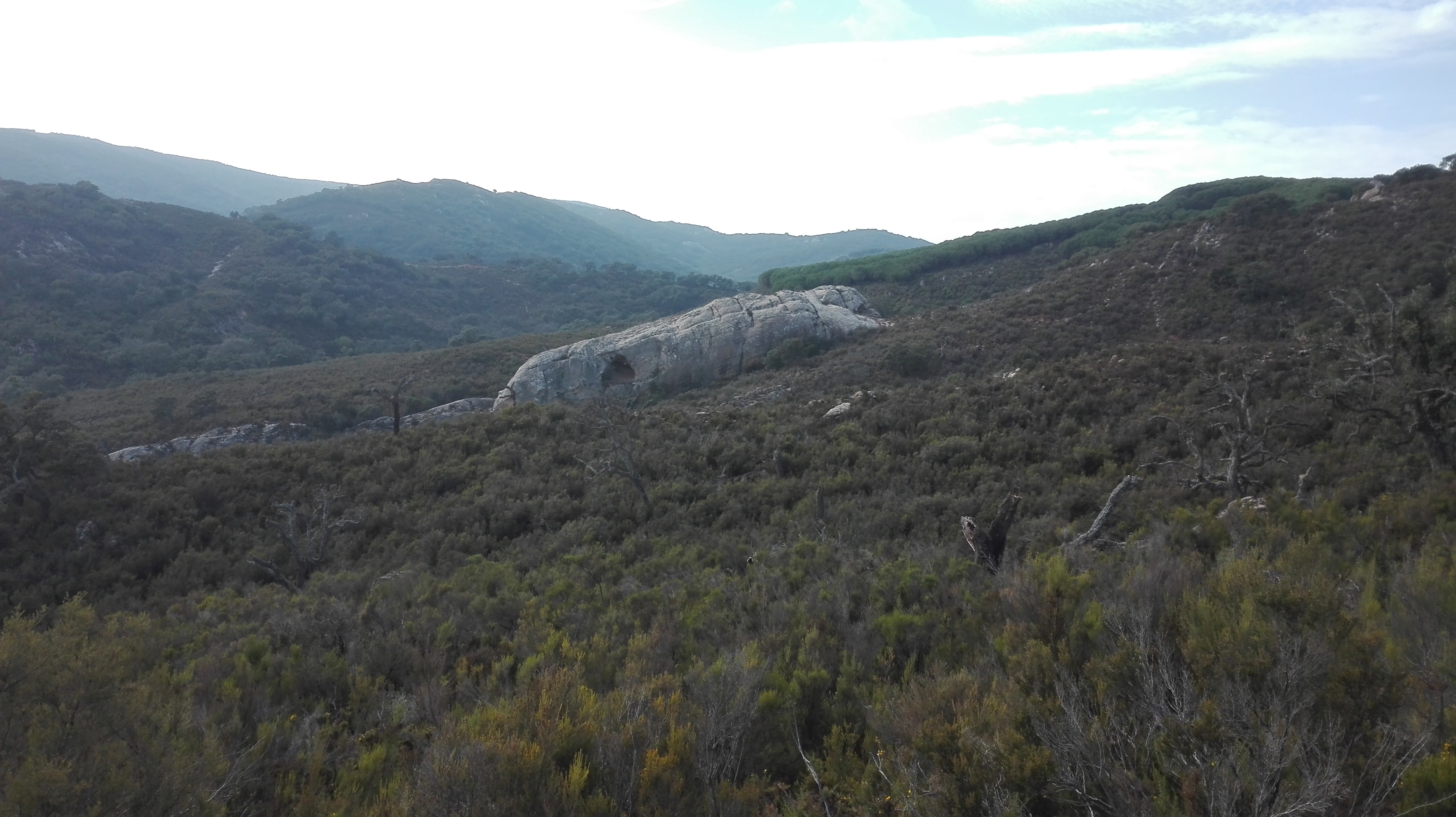 Tajo de Abejeras, finca de la Almoraima. 