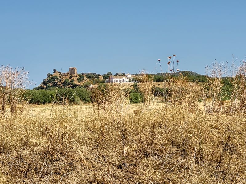 SETEFILLA, FOTO PIMENTEL