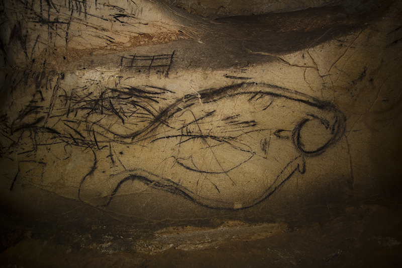 PEZ DE LA PILETA. FOTO NAVARRO